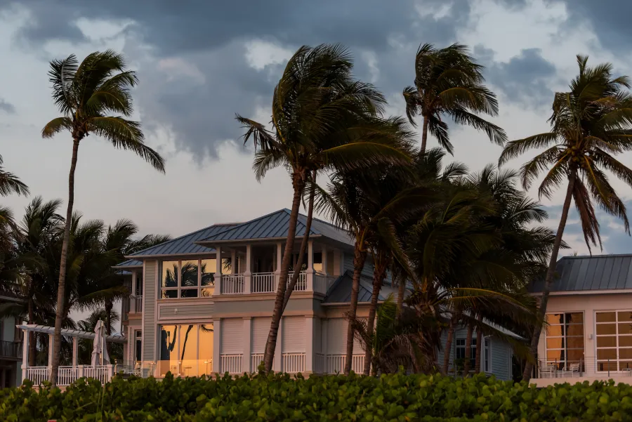 a house with palm trees