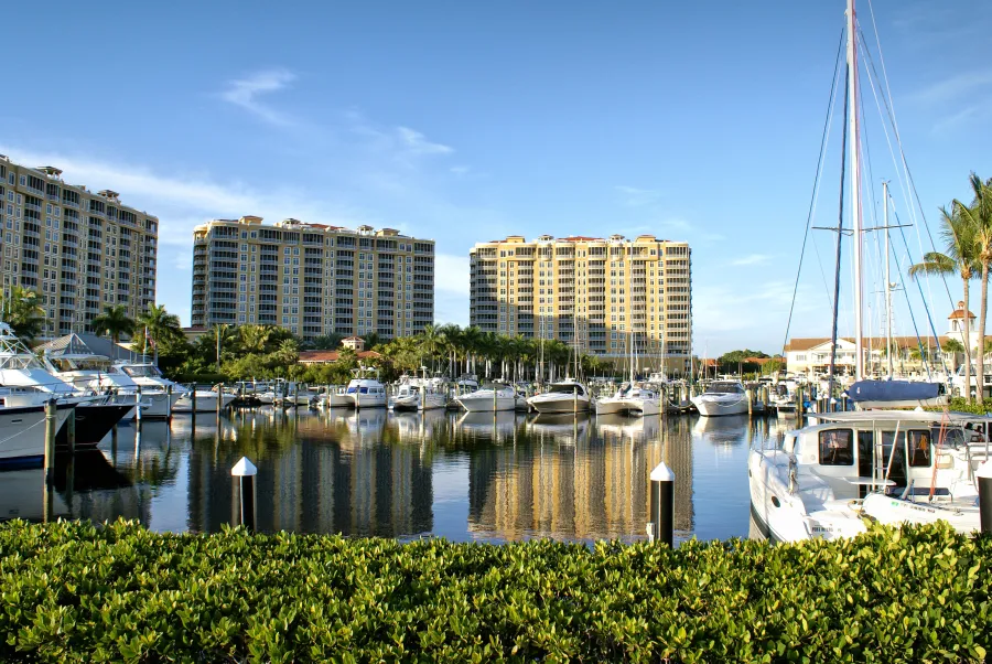 a marina with many boats