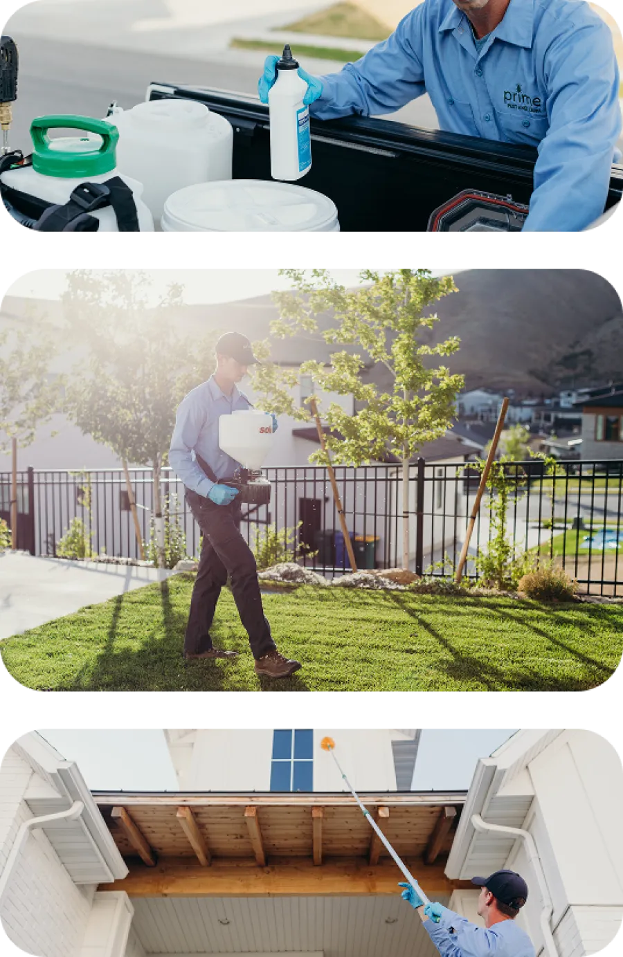 Cockroach Control in Salt Lake City | Prime Pest & Lawn