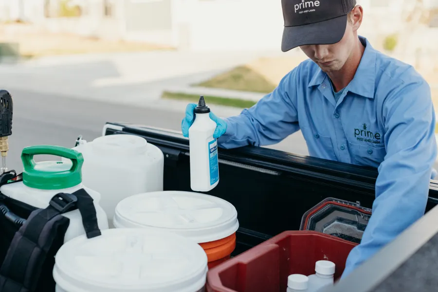 Effective Pest Control & Lawn Care Services in Columbia | Prime Pest & Lawn