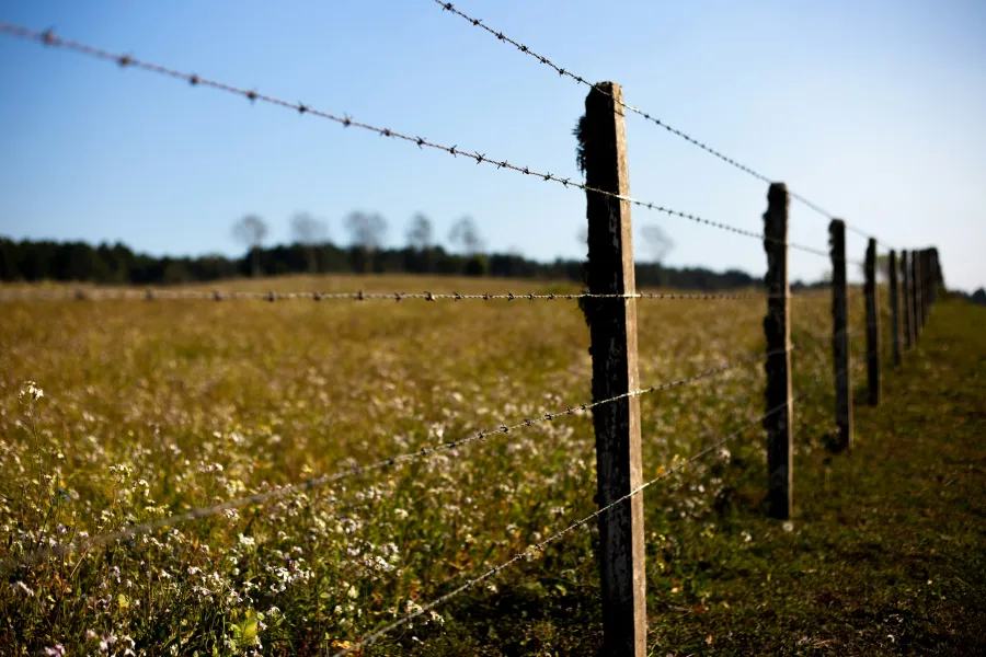 Barbed wire fence with wooden posts stretches across a grassy field under a clear blue sky.