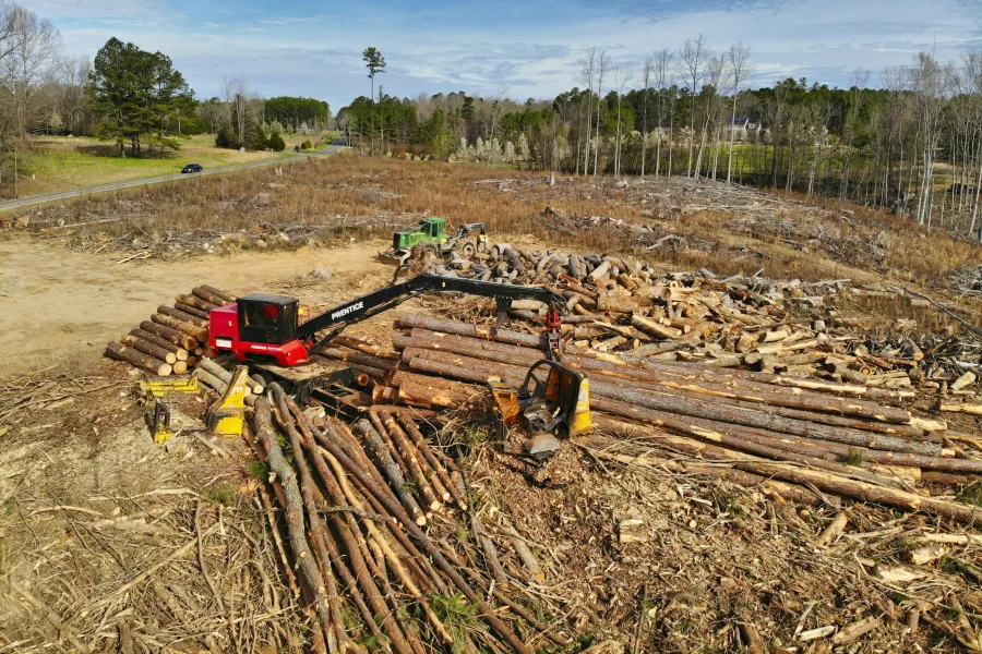 Logging machinery stacks and sorts large cut logs in a cleared forest area under a blue sky.