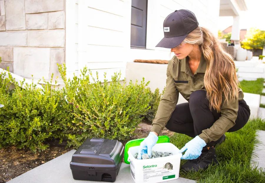 Person wearing gloves placing rodent bait from a Selentra container near a home garden with greenery in the background