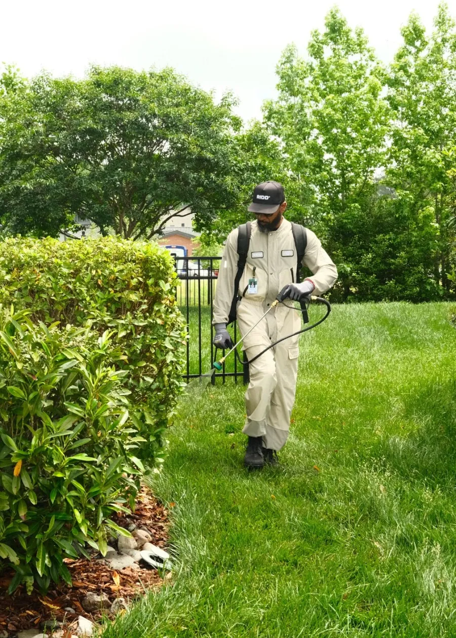 Ridd Pest tech spraying pesticides on lawn and bushes in a residential garden on a sunny day