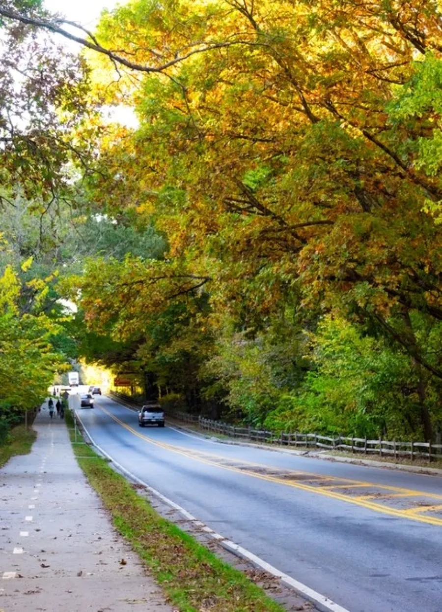 Scenic road lined with trees showing autumn colors and a sidewalk with pedestrians under soft daylight.