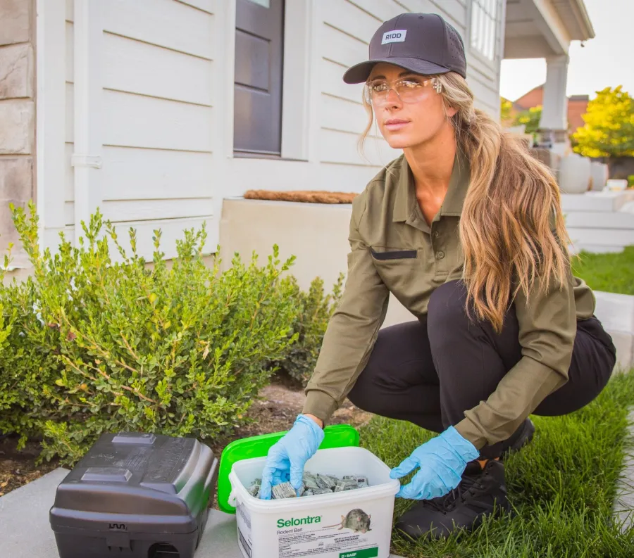 a Ridd technician setting up a pest control device