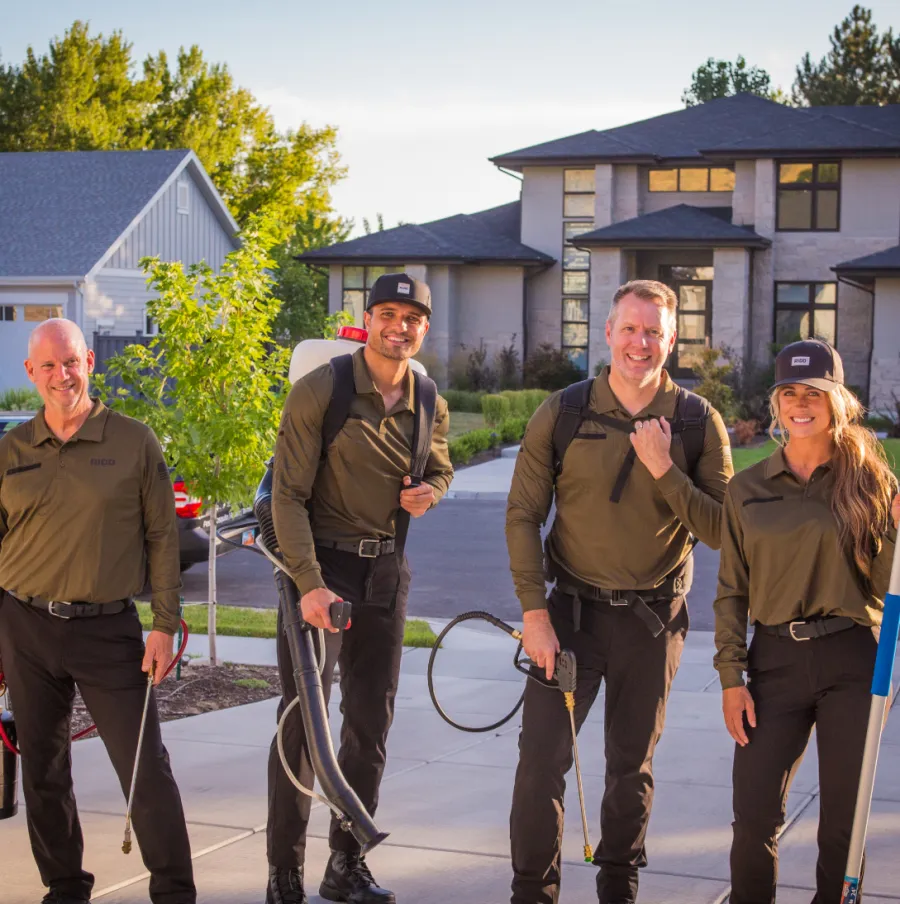 Kirkman Ridd Careers | RIDD Pest Control