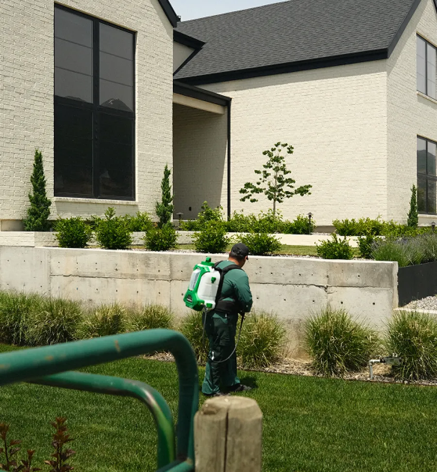 Gardener using a backpack sprayer to treat plants near a modern house with large windows and landscaped yard.