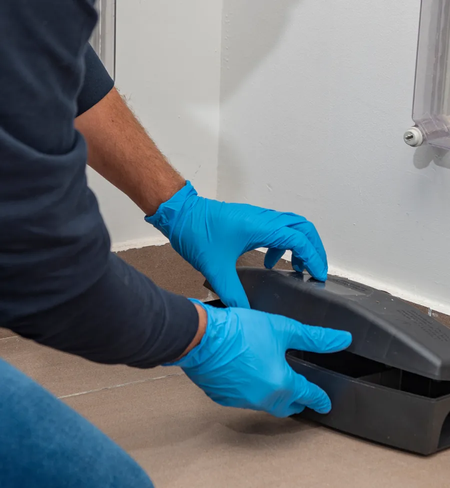 a person wearing gloves opening a rat trap