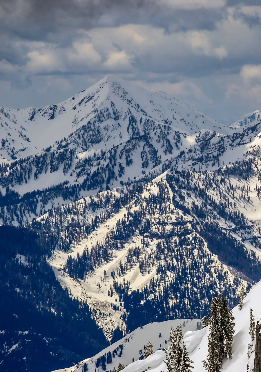 a snowy mountain with trees