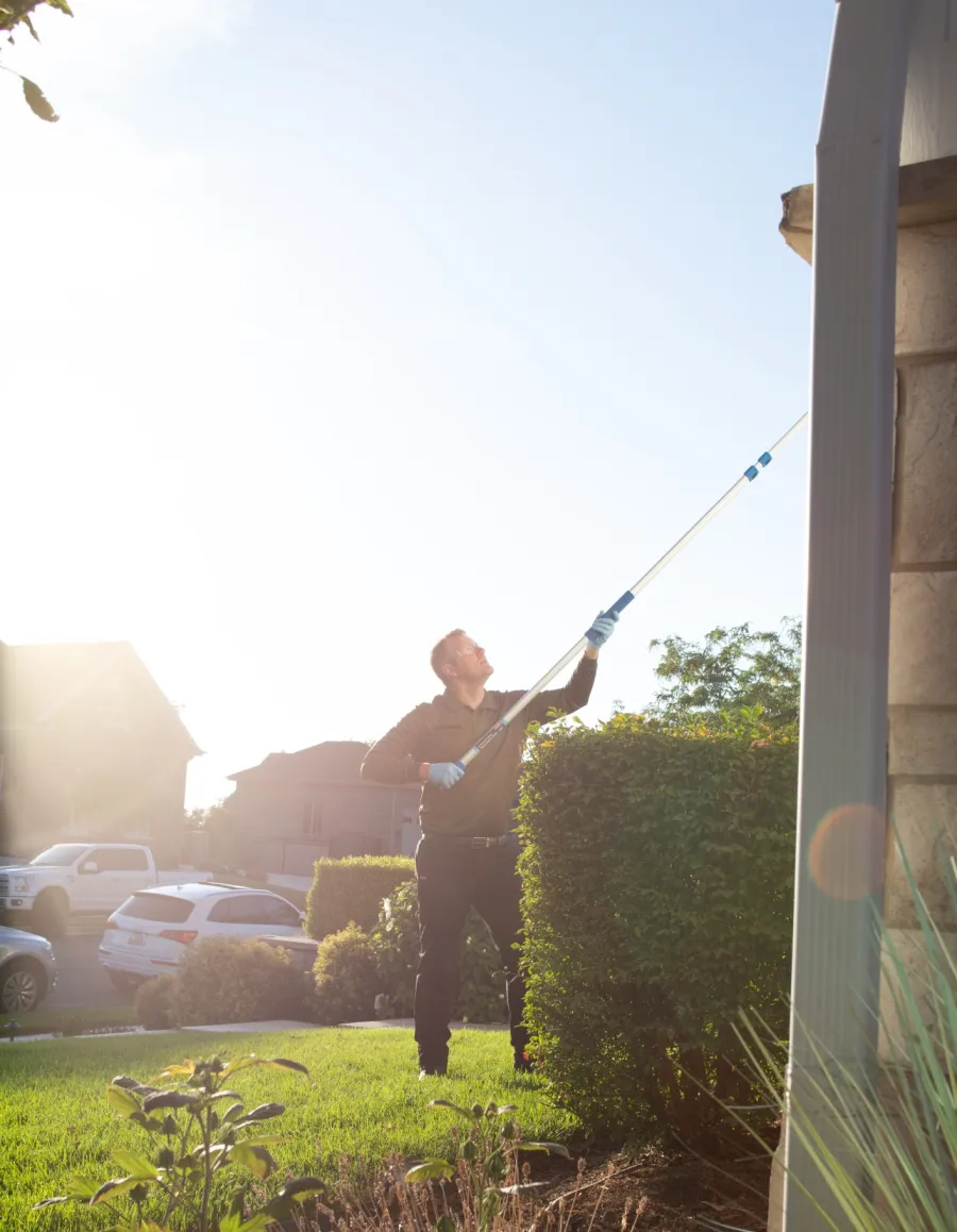 a person cleaning a house