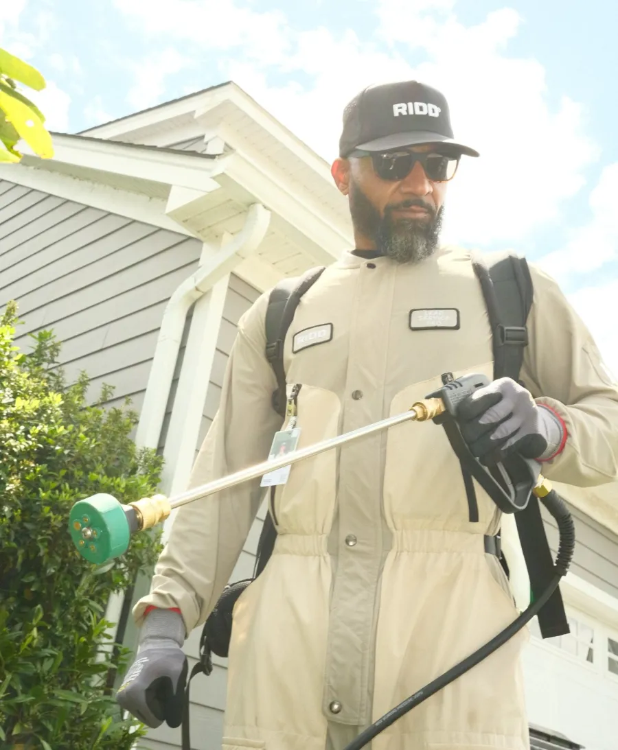 Pest control worker in protective gear spraying chemicals on house exterior near greenery under sunlight.