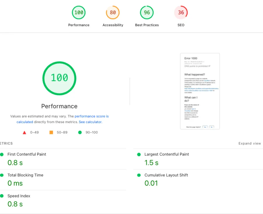 Website performance metrics showing 100 performance score, 80 accessibility, 96 best practices, and 36 SEO with detailed timings.