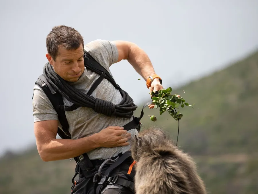 Man in outdoor gear interacts with a wild baboon holding green leaves in a natural mountainous setting.