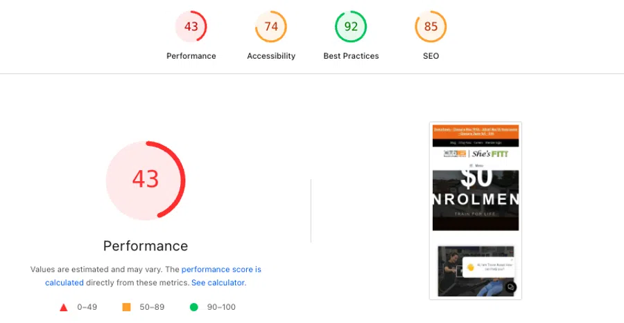 Website performance score details showing a low score of 43 and other metrics for accessibility, best practices, and SEO.