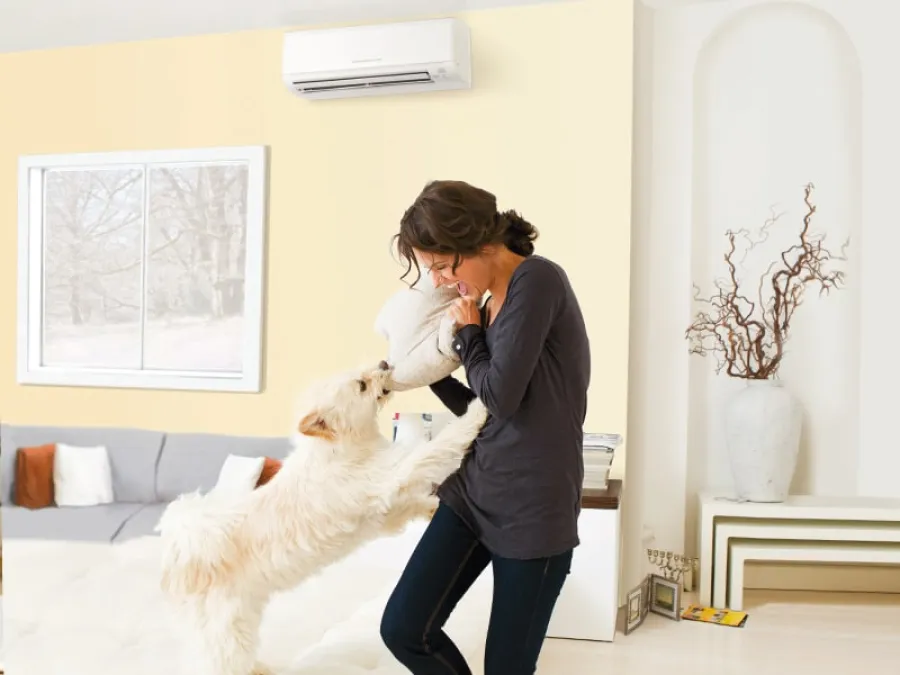 Woman playing and hugging a happy white dog in a bright modern living room with beige walls.