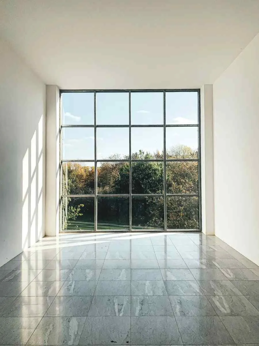 Empty room with large grid window showcasing sunlight and outdoor greenery reflected on tiled floor.