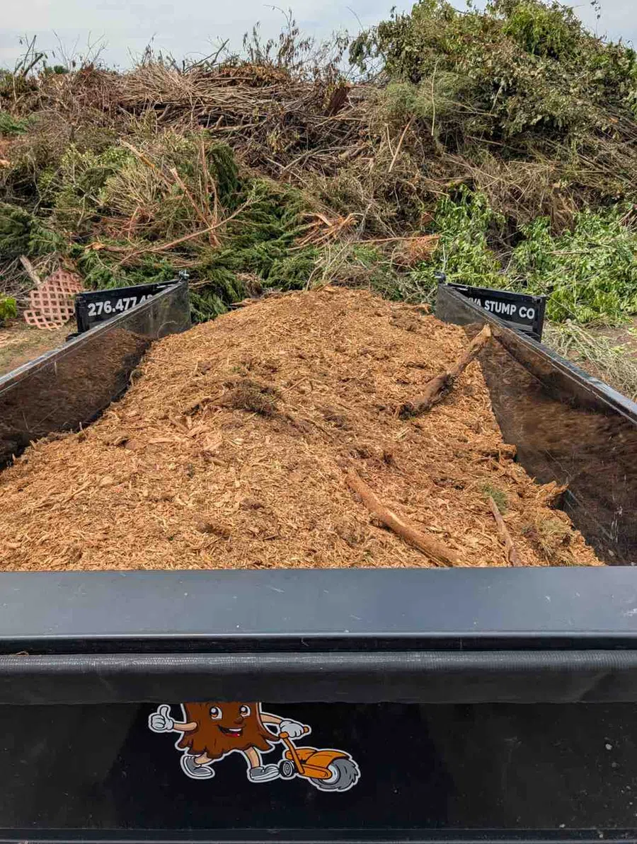 Large black trailer filled with wood chips and branches with a pile of yard waste in the background.