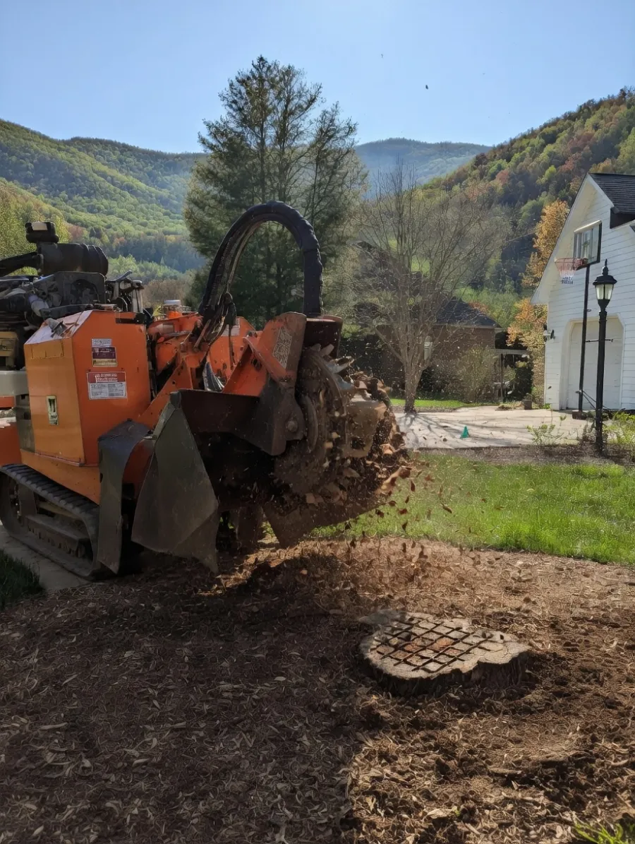 Orange stump grinder removing a tree stump in a residential yard with mountains and a white house in the background