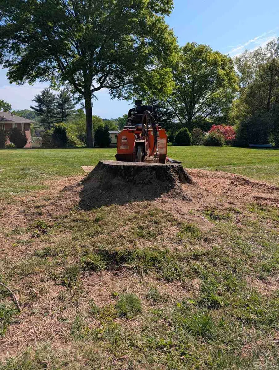 Orange stump grinder machine on a large tree stump in a green grassy yard on a sunny day.