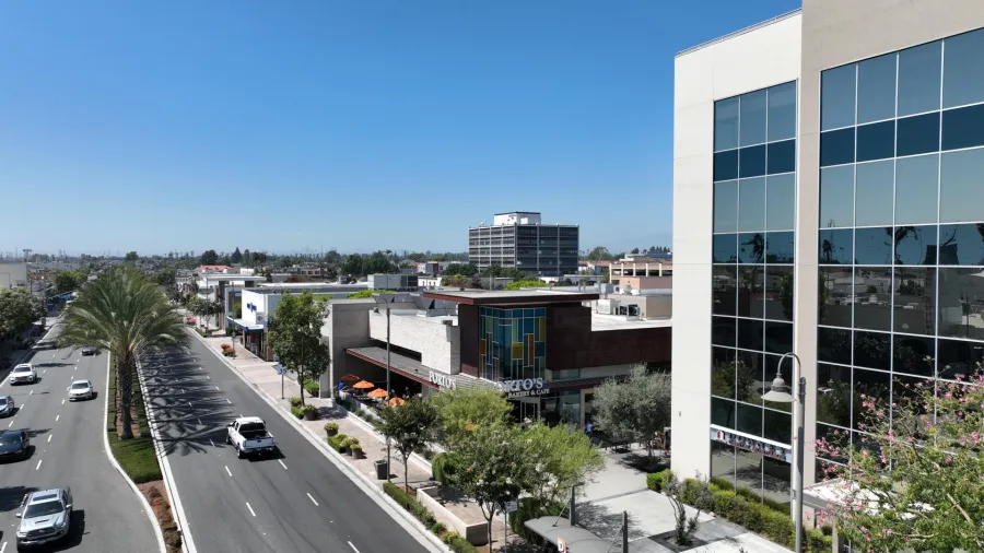 Wide view of a sunny city street with palm trees, cars, shops, and modern glass office buildings.