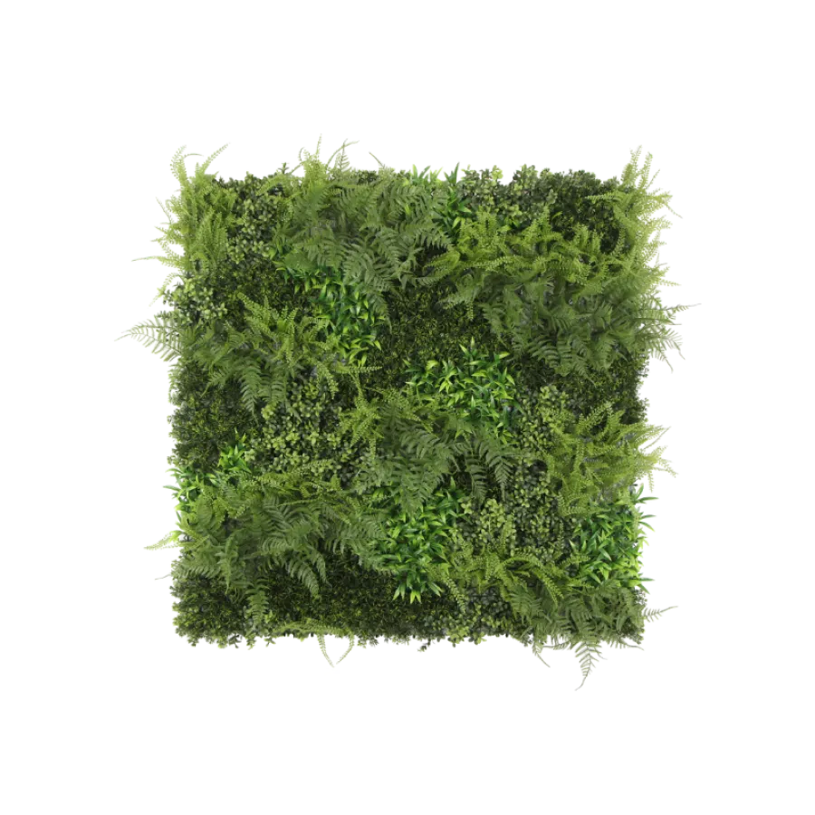 Square green wall panel densely covered with various ferns and leafy plants against transparent background