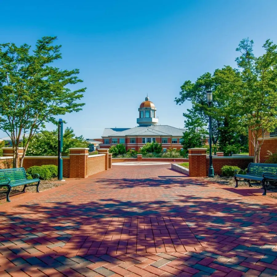 Sunlit brick walkway with benches and trees leading to a domed building under a clear blue sky.