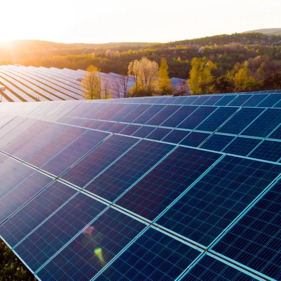 Large solar panel farm at sunset with rows of panels capturing solar energy in a rural landscape.