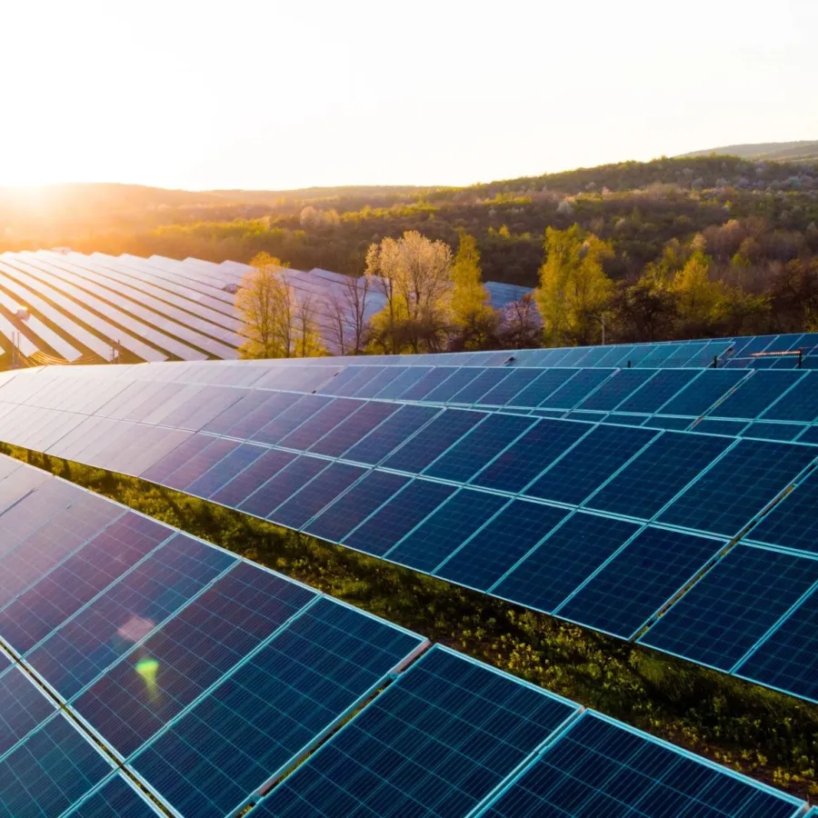 Rows of solar panels on a grassy field with the sun setting behind wooded hills in the background