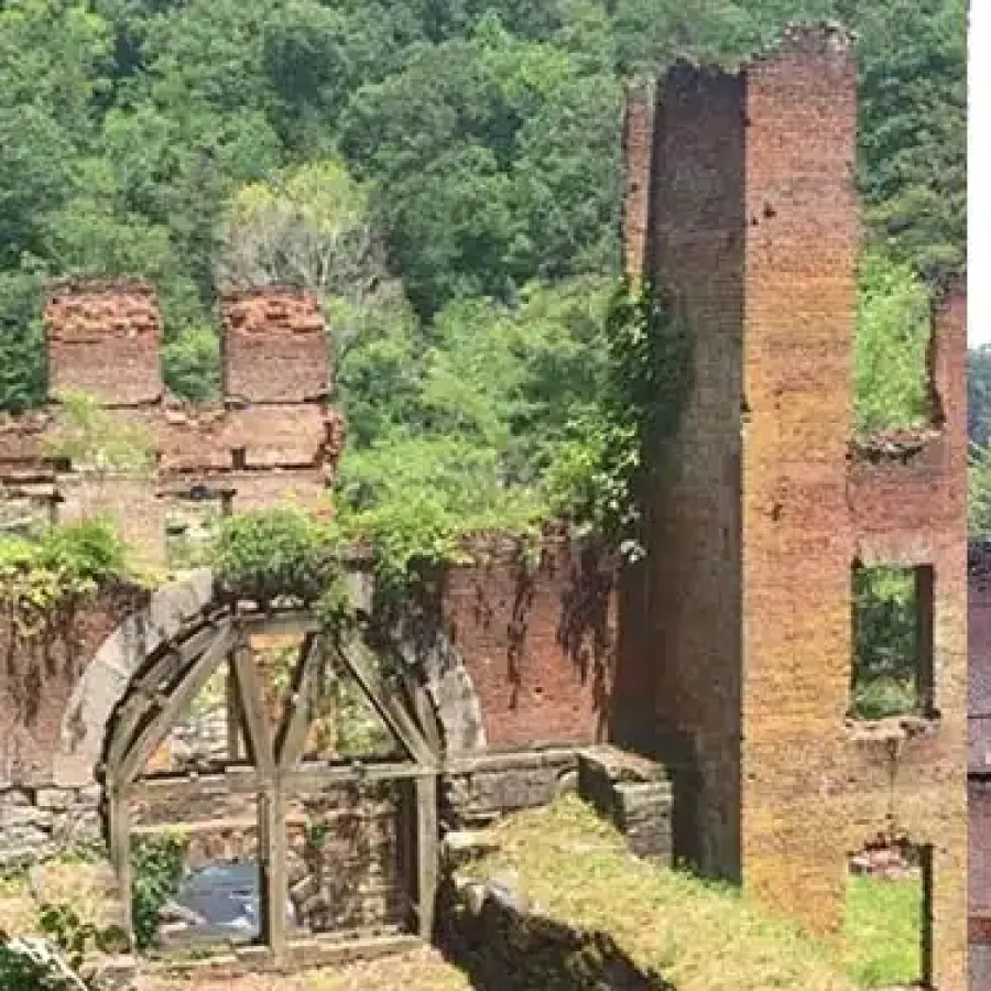 Overgrown brick ruins of an old building surrounded by dense green forest and clear skies.