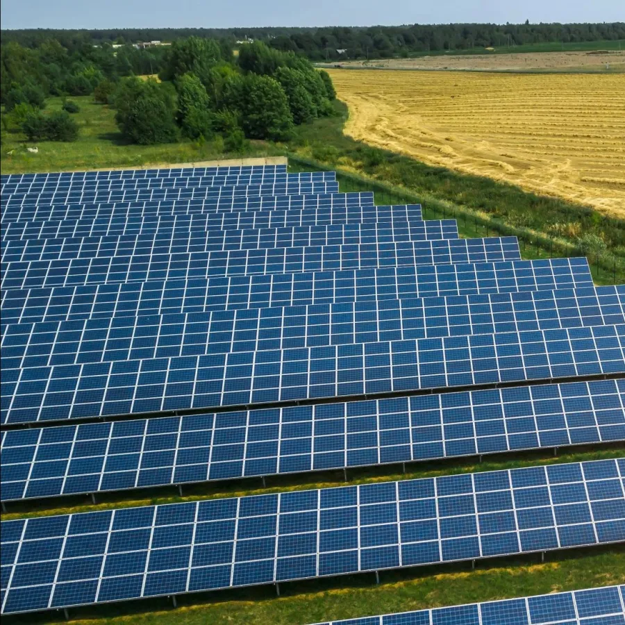 Rows of blue solar panels installed near a harvested golden wheat field under a clear sky.