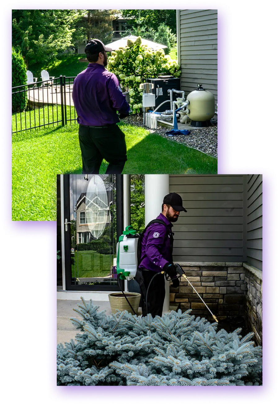 Technician in purple uniform inspecting and spraying around home exterior and pool equipment for pest control.