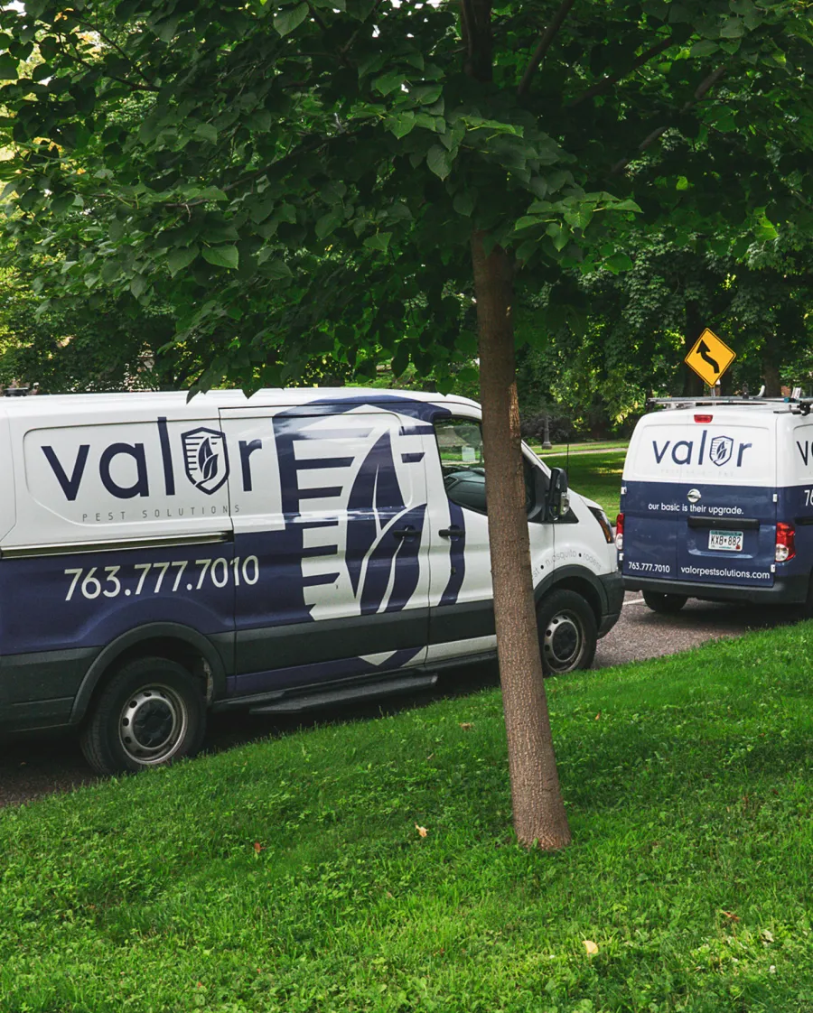 Valor Pest Solutions vans parked on a street next to greenery and trees in a residential area.