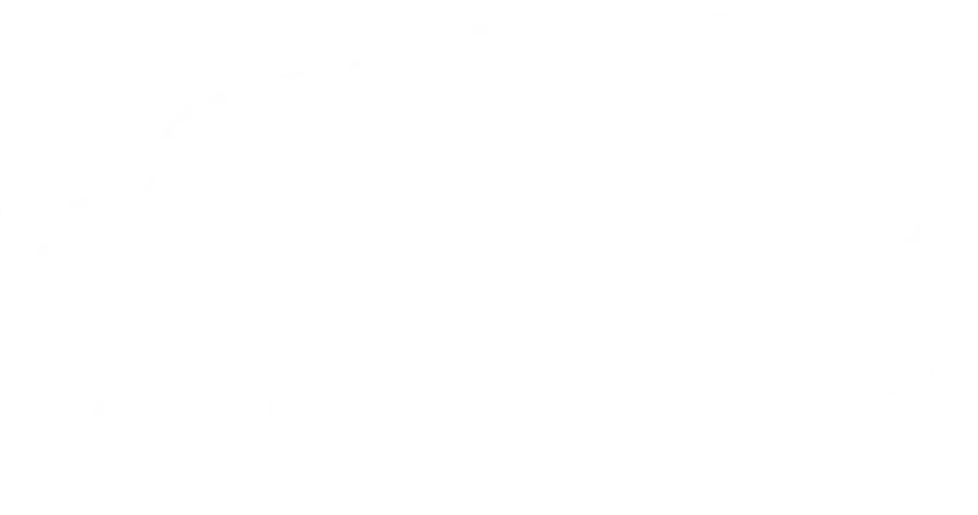 Silhouette of a bison standing and facing right with detailed horns and tail visible.