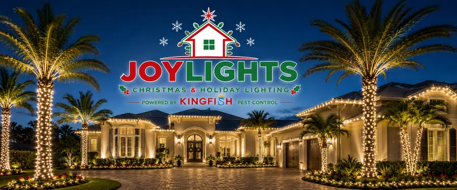 Luxury home decorated with white Christmas lights wrapped around palm trees and roofline at dusk.