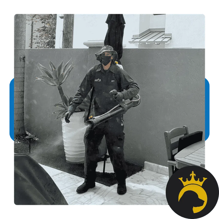 Person in protective gear spraying pesticide outdoors near a potted plant and patio furniture in a residential area.