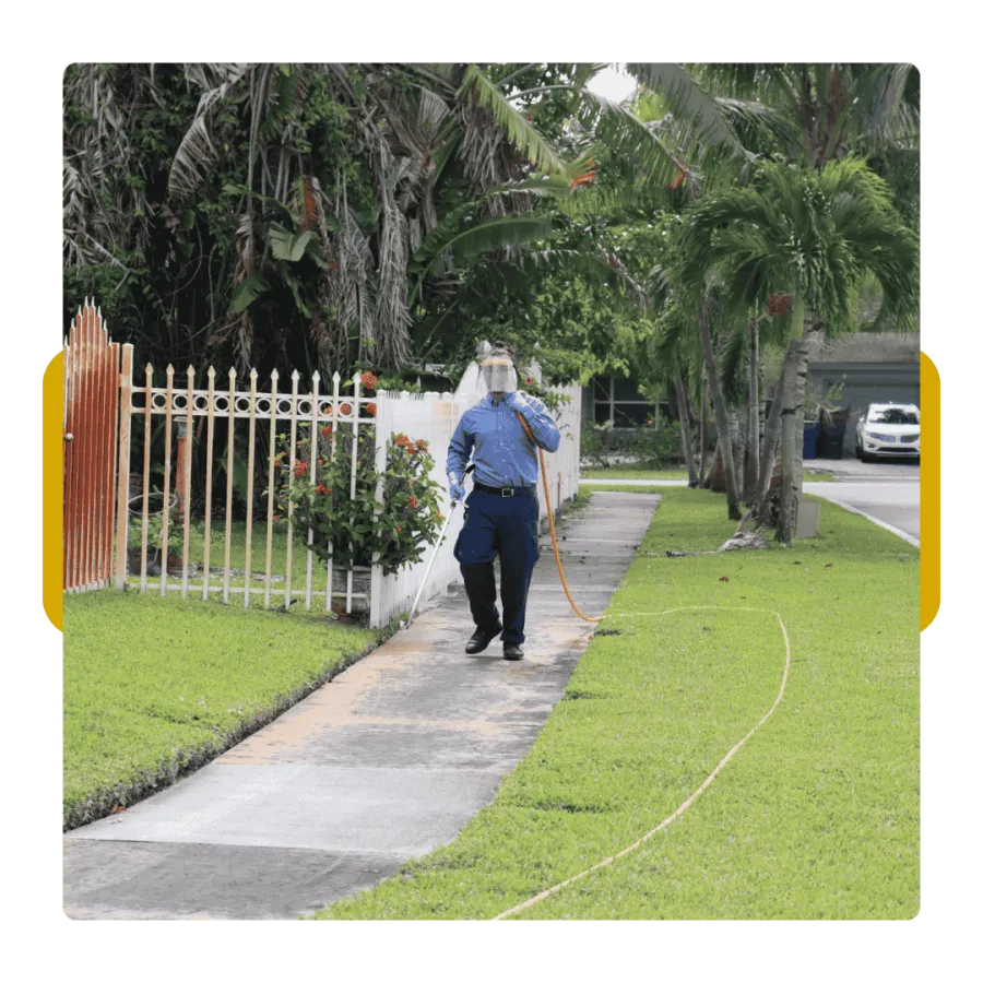 Worker wearing protective gear spraying chemicals along a residential sidewalk with greenery and palm trees.