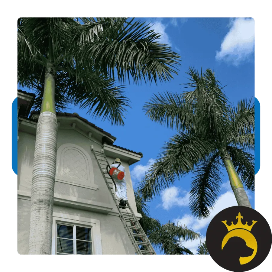 Pest control worker in protective gear spraying pesticide on a house exterior ladder under palm trees and blue sky.