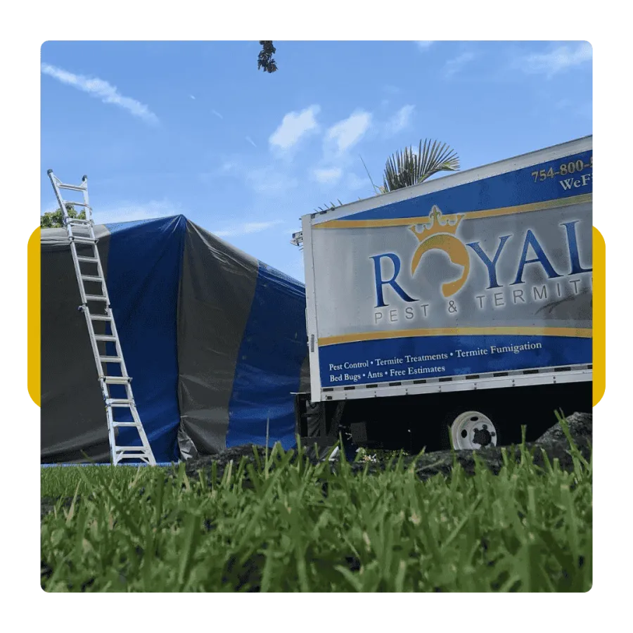 Royal Pest & Termite truck next to a covered structure with ladder on green grass under blue sky