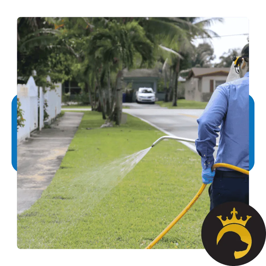 Person watering a green lawn with a hose in a residential neighborhood on a sunny day