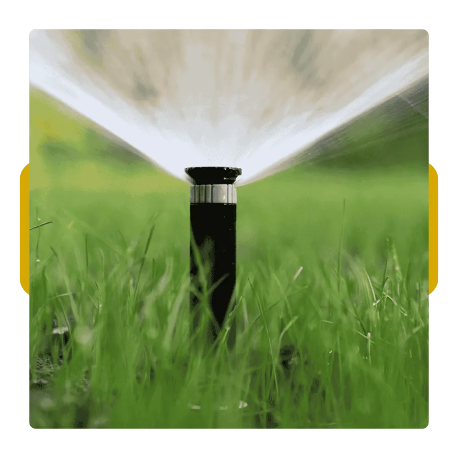 Close-up of a black garden sprinkler spraying water over green grass in a sunny outdoor setting