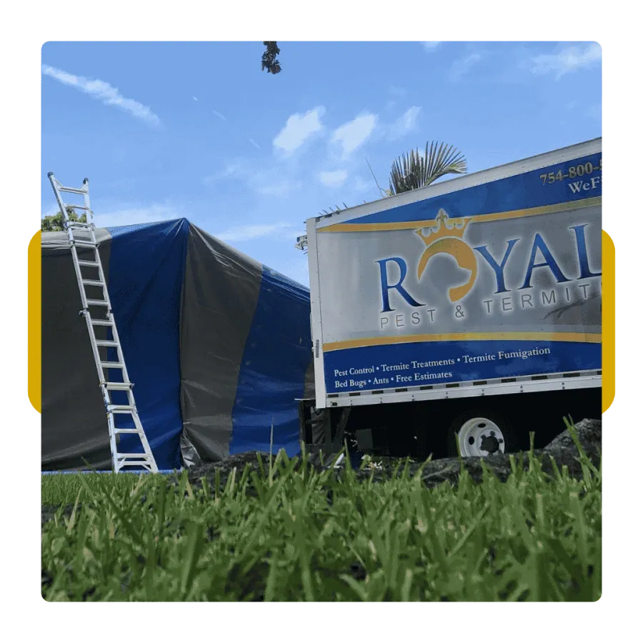 Royal Pest & Termite pesticide application sign warning to keep children and pets off treated area.