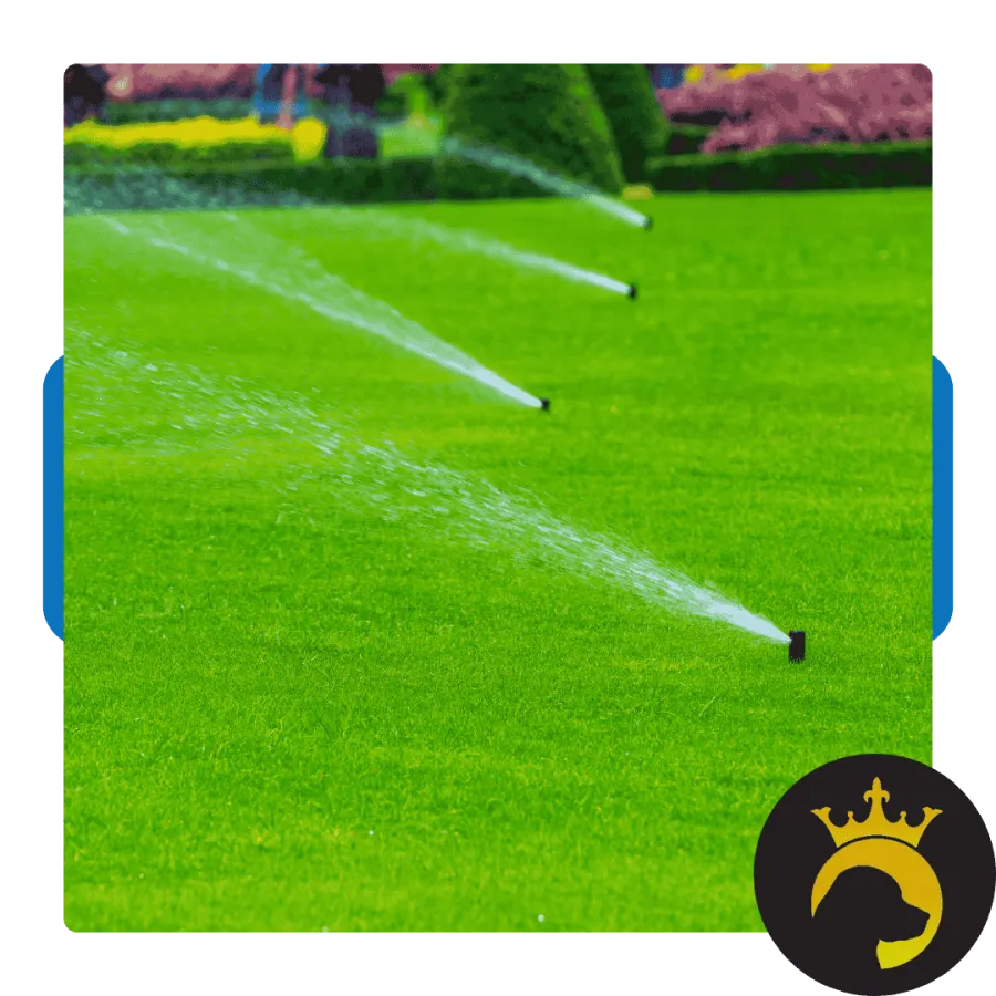 Sprinklers watering a lush green lawn with flower beds and bushes in the background on a sunny day